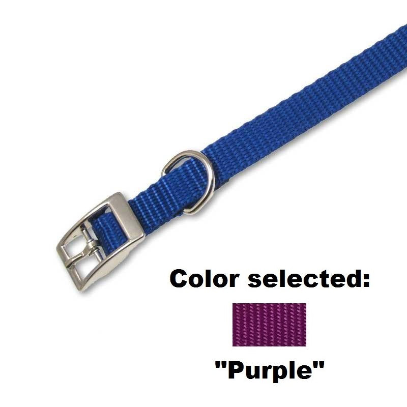 Traditional Collar - 5/8" Width, - Lucky Pet